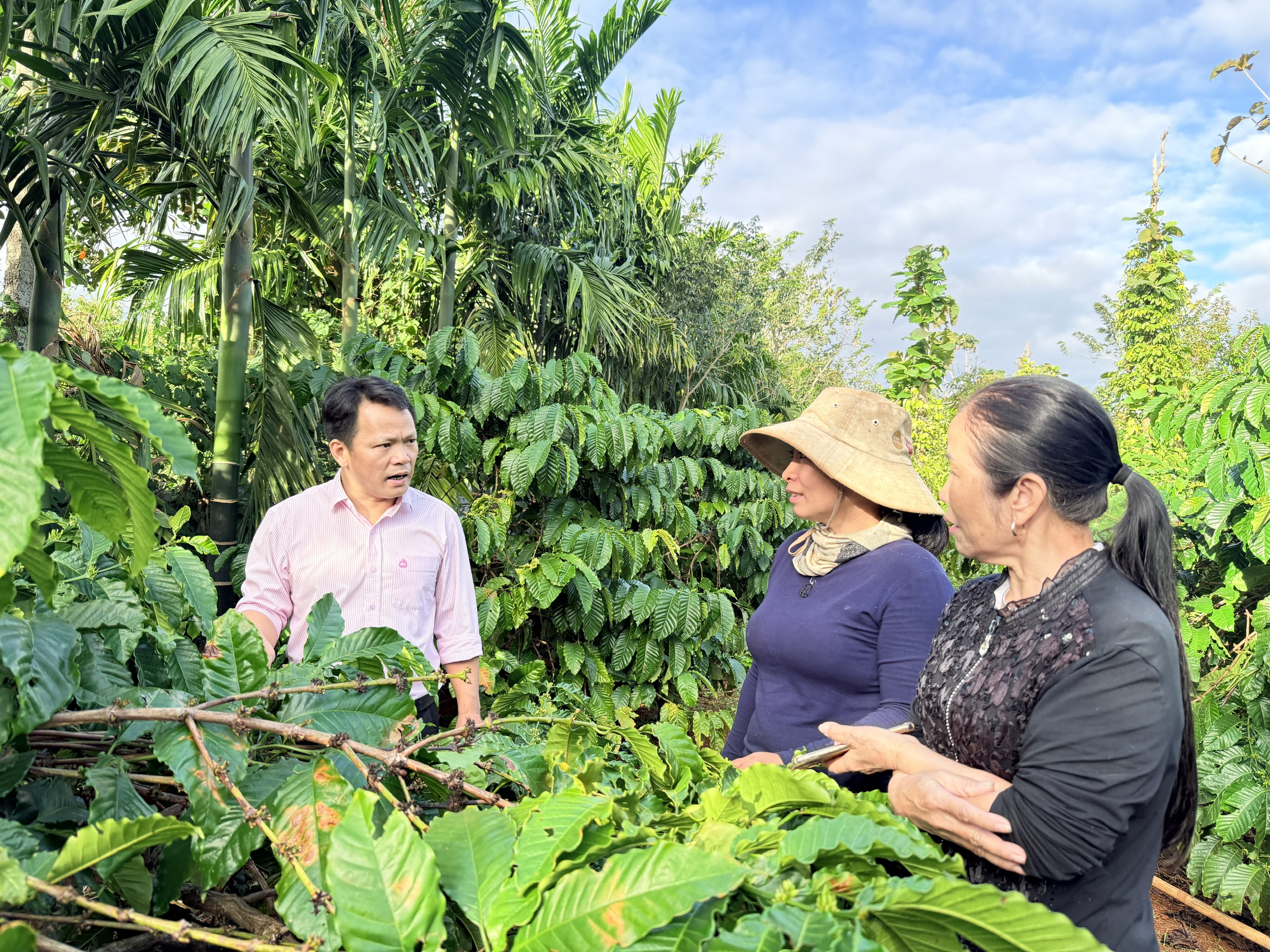 “Chìa khóa” thoát nghèo của bà con xã Quảng Phú